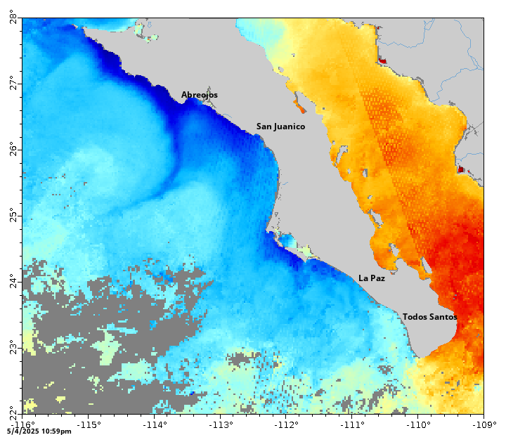 Baja California Sur Current Sea Surface Temperatures